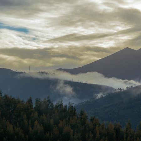 O Pardieiro - Casas Da Paradinha Εξωτερικό φωτογραφία